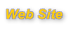 Web Site
