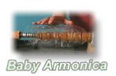 Baby Armonica
